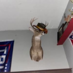 Meet your Posher, Hunter